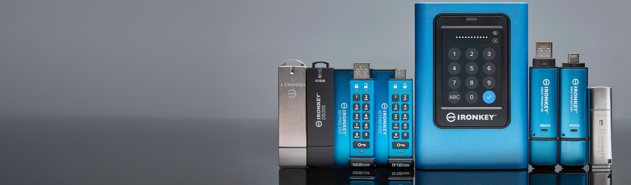 Kingston IronKey 系列加密 USB 快閃記憶體盤